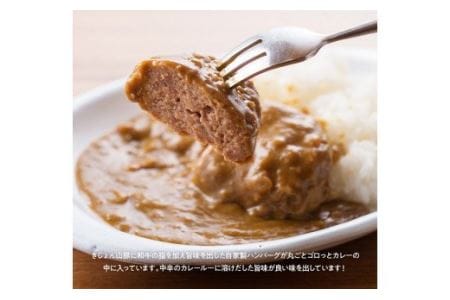 惣菜 きじょん山豚ハンバーグカレー9食分（180g×9袋） 惣菜