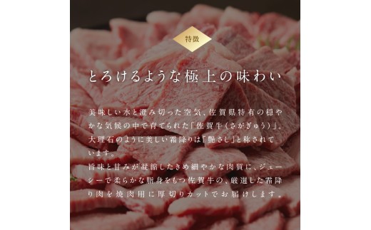 【11月配送】中山牧場 佐賀牛霜降り焼肉 1.2kg（600g×2パック） ／ バーベキュー BBQ 牛肉 肉 お肉 佐賀牛 赤身 霜降り モモ ウデ 肩ロース カルビ 焼き肉 焼肉セット A5 A4