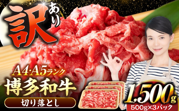 
                  【訳あり】【A4〜A5】博多和牛 切り落とし 1.5kg（500g×3個）《豊前市》【株式会社木村食品】[VDZ004] 牛肉 ブランド牛 肉 切落し わけあり ぎゅうにく 訳あり ワケアリ にく 切り落とし きりおとし 小分け 冷凍 人気
                