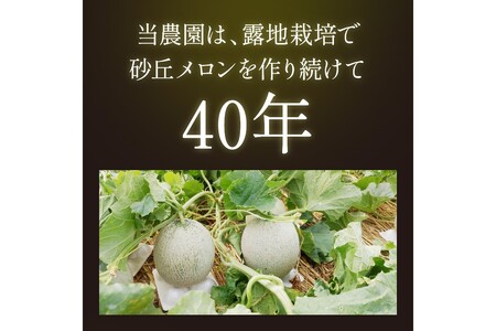 【先行予約／数量限定500】京丹後産 砂丘メロン 大玉2L以上 1玉（2024年7月下旬～発送）