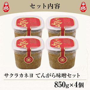 てんがら味噌セット（850g×4個）麦味噌　鹿児島県産【00-002-20】
