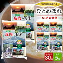 【ふるさと納税】≪新米予約≫ ≪6ヶ月定期便≫ ひとめぼれ 5kg×6ヶ月連続 計30kg 山形県庄内産 ご希望期間の毎月中旬頃お届け 東北 遊佐町 庄内地方 庄内平野 米 お米 精米 白米 庄内米 ごはん ご飯 セット 連続定期便