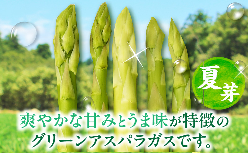 【先行受付】【夏芽】グリーンアスパラガス サイズ混合約2kg（1kg×2箱）  グリーンアスパラガス アスパラガス アスパラ 夏芽 おすすめ 混合 シャキシャキ 野菜 冷蔵 新鮮 新鮮野菜 香川県 国