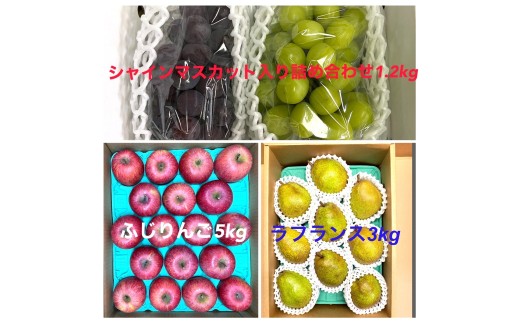 【定期便：全３回】フルーツセット（シャインマスカット入詰め合わせぶどう、ラ・フランス、りんご）　0065-2602