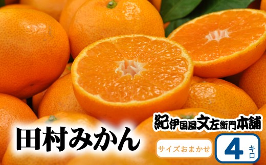 
                  田村みかん 秀品 4kg サイズおまかせ/紀州和歌山有田郡湯浅町田村地区産 ◆2026年11月下旬～2027年1月中旬頃に順次発送予定(お届け日指定不可)　紀伊国屋文左衛門本舗【ntb307B】
                