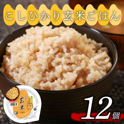 ふるさと納税 松原市 米匠庵 コシヒカリ 玄米ご飯 160g×12個 国産原料100% ご飯パック 常温保存 大阪府松原市