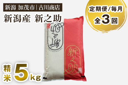 【令和7年産】【定期便3回毎月お届け】新潟の新ブランド米「新之助」精米5kg 白米 大粒 加茂市