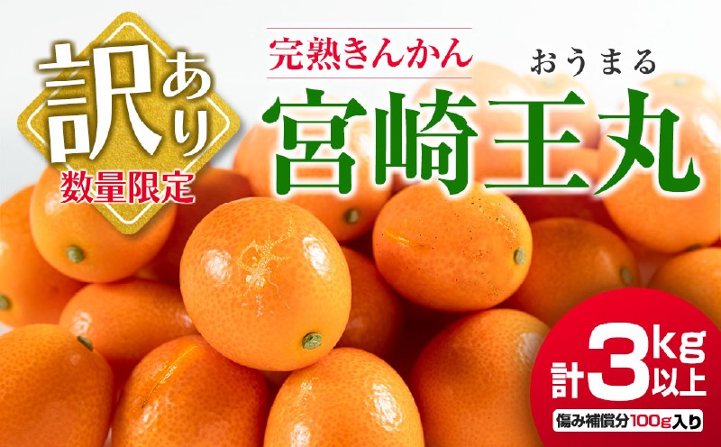 
                  訳あり 先行予約 完熟 きんかん 宮崎王丸 計3kg以上 傷み補償分入り フルーツ 果物 数量限定 期間限定 訳アリ くだもの 柑橘 金柑 おすすめ おすそ分け 国産 食品 デザート ブランド 希少 ご家庭用 ご自宅用 お取り寄せ 特産品 産地直送 宮崎県 日南市 送料無料_B245-25
                