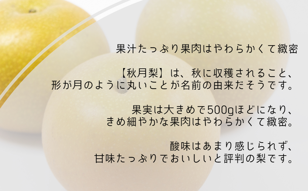 【濱田農園】 秋月梨 約5kg 【数量限定】【予約受付中・9月上旬より順次発送】フルーツ 果物 梨 ナシ 旬の梨 秋の梨 旬のフルーツ 秋のフルーツ 鳴門の梨 徳島県産 フルーツ 果物 幻の梨 旬の果