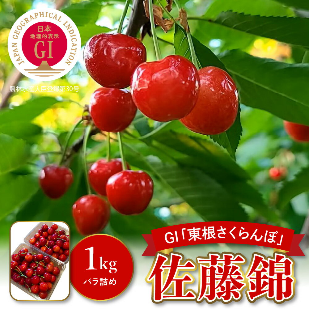 【ふるさと納税】【 数量限定 】 2026年産 GI東根 さくらんぼ 佐藤錦 1kg 秀品 Lサイズ バラ詰め | フルーツ 果物 くだもの サクランボ チェリー 小分け 箱入り 化粧箱 期間限定 冷蔵配送 大容量 特産 産地 直送 東北 山形県 東根市