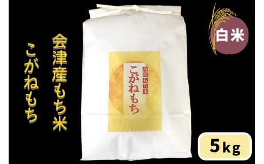 会津産もち米「こがねもち」【白米】5kg｜令和7年産 2025年産 会津若松市 もちごめ 餅米 米 新米 [1038]