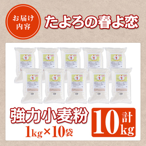 【C7022】＜北海道士別市産小麦＞ たよろの春よ恋 強力粉 ( 1kg×10袋・計10kg) 小麦 小麦粉 強力粉 春よ恋 北海道産 士別市産 国産 国産小麦粉 パン お菓子 料理 1kg 10kg