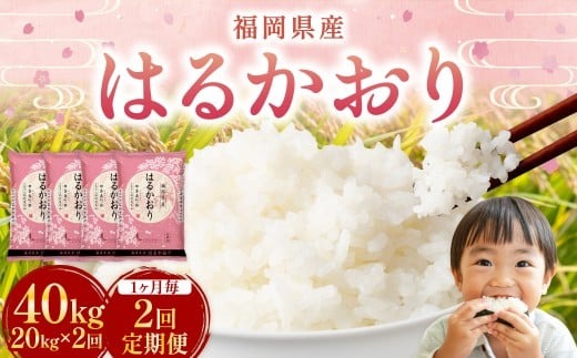 【1ヶ月毎2回定期便】 はるかおり 20kg 計40kg ／ 米 コメ お米 ライス ご飯 ごはん 飯 食品 精米 定期便 常温 福岡県 香春町