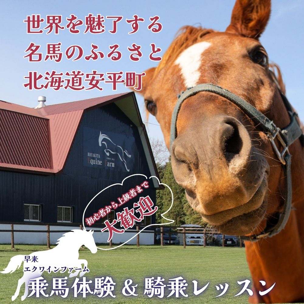 【ふるさと納税】体験乗馬＆騎乗レッスン 選べるプラン ひき馬 本格乗馬 騎乗 障害なし 障害あり 北海道安平町〈早来エクワインファーム〉馬 サラブレッド ポニー 競馬 馬術 体験