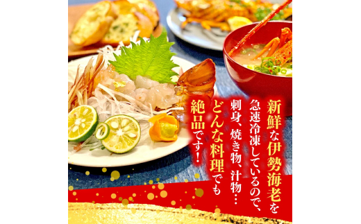 【訳あり】 職人吉岡 の 冷凍 伊勢海老 約 1.4kg 2 ? 7尾 ( サイズ混合 えび エビ いせえび 高級 鮮魚 イセエビ 海鮮 魚介 刺身 焼き物 汁物 ギフト 贈答 贈り物 祝い 歳暮 中