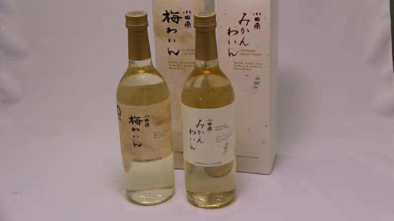 城下町小田原の飲み比べわいんBセット（2本セット)【ワイン】