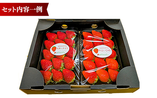 農場長厳選の美味しいいちご 400g【200g×2パック 苺 詰め合わせ 島根県 安来市産】