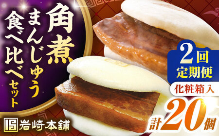 【全2回定期便】長崎角煮まんじゅう10個(箱)・大とろ角煮まんじゅう10個(箱)《壱岐市》【岩崎本舗】冷凍 豚 豚角煮 角煮饅頭 簡単調理 お取り寄せ[JHA002]
