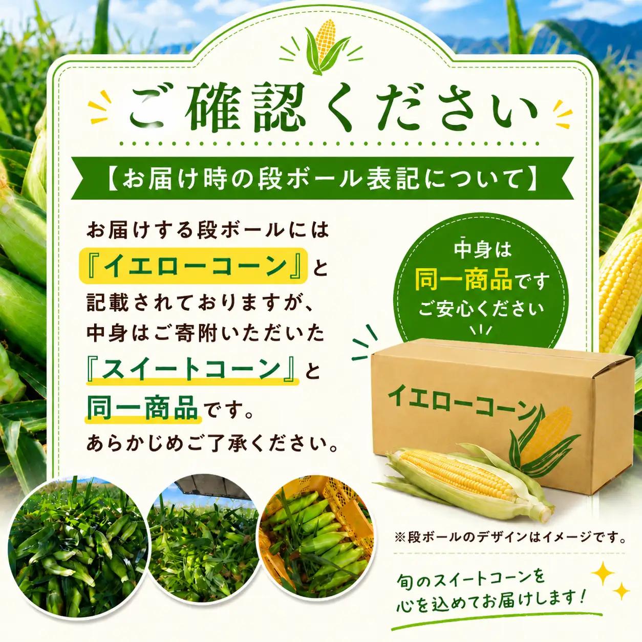 極甘スイートコーン 訳あり L規格15本 約5kg （高原野菜の名産地　信州しおじり洗馬産）【8月10日～15日頃に出荷予定※不在日対応不可※】