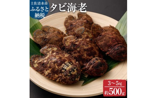 天然タビ海老（ゾウリエビ）約500g（３～５尾入り）サイズおまかせ 贈答可 タビエビ セミエビ科 ゾウリ海老 海老 えび 天然 お刺身 刺身 お味噌汁 パスタ 濃厚 甘い【R01249】