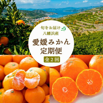 【ふるさと納税】【発送月固定定期便】11月より順次発送　みかん定期便　大玉8kg×秀品5kg【F25-249】全2回【4070997】