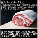 【ふるさと納税】瑞浪ボーノポーク焼肉食べ比べセット1Kg【配送不可地域：離島・北海道・沖縄県・東北・中国・四国・九州】【1567376】