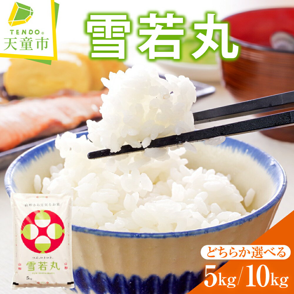 【ふるさと納税】 雪若丸 選べる 5kg / 10kg 令和7年産 米 新米 2025年 コメ こめ おこめ お米 精米 ブランド米 ごはん 白米 ご飯 おにぎり 弁当 5kg袋 お取り寄せ 食品 産地直送 送料無料 【 山形県 天童市