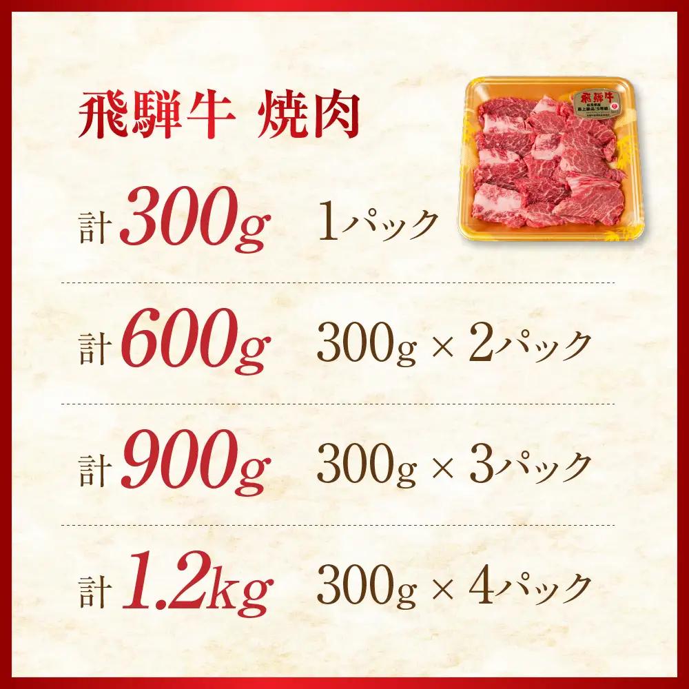 ≪訳あり≫ 飛騨牛 A5 焼肉 1200g｜訳あり