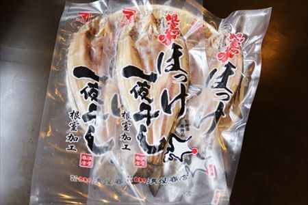 【北海道根室産】ほっけ一夜干し1枚×5P G-32006