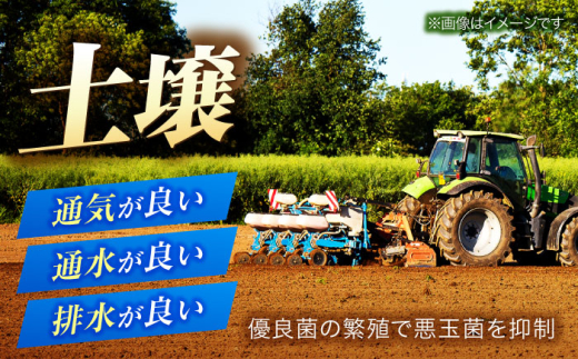 【令和8年産 新米】 【 先行予約 /9月中旬から発送】　福井県産 ラクト農法 コシヒカリ 白米 10kg / 米 お米 精米 国産米   / 小浜市 / 北川博司 [BFDG006]