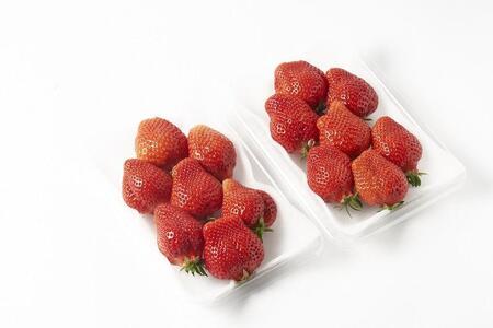 【12月中旬以降出荷予定】完熟 大粒 あまおう イチゴ 280g×2パック(約560g)＜配送不可：北海道、沖縄県、離島＞