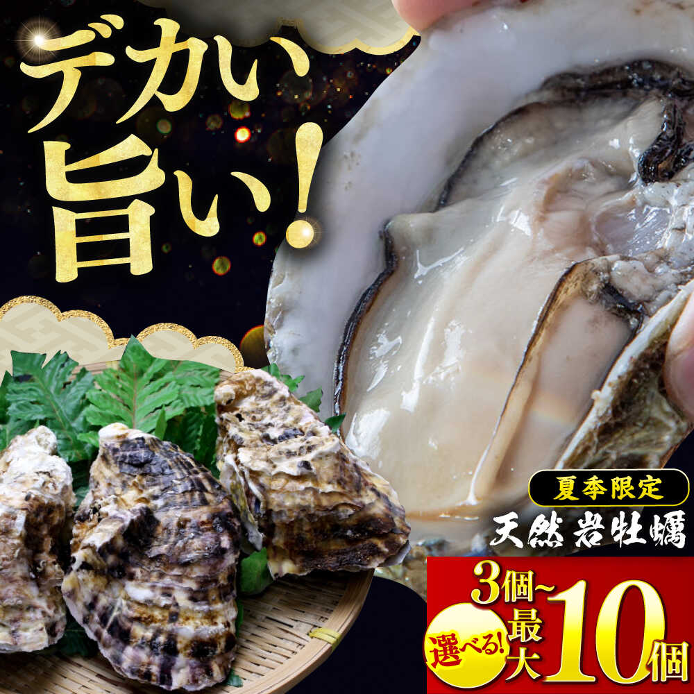【ふるさと納税】【先行予約/6月下旬より順次発送】若狭湾　生食用　天然岩牡蠣　＼選べる容量：大 3・6・10個／（軍手、牡蠣ナイフ付き） 小浜市 / 加福鮮魚【配送不可地域：北海道・沖縄・離島】 [BFBC008][BFBC009][BFBC010]