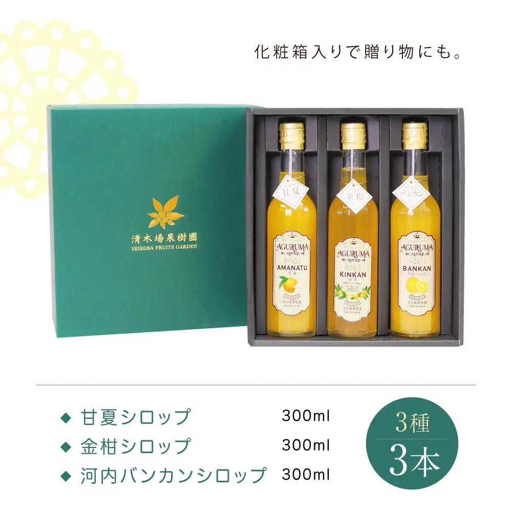柑橘シロップ 3本セット＜金柑・甘夏・河内バンカン＞［3種類］きんかん キンカン 河内晩柑 ドリンク ジュース 炭酸割り ハイボール カクテル かき氷 ヨーグルト アイス パンケーキ ギフト 贈答 清