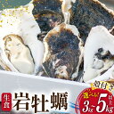 【ふるさと納税】岩牡蠣 生食 【内容量が選べる】 [天洋丸 長崎県 雲仙市 item1909] 牡蠣 かき カキ 冷凍 いわがき 岩がき 殻付 殻付き 先行予約 3kg 5kg