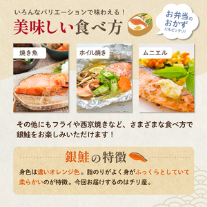 銀鮭の切身（10切×2袋） mi0012-0080  ｼｬｹ 鮭 切身 魚 おかず