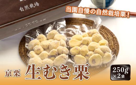 《12月発送》京栗 生むき栗 冷凍  500g（250g×2袋）【 京都 綾部 丹波栗 自然栽培 農家直送 国産 無農薬 果物 フルーツ くり 栗 】