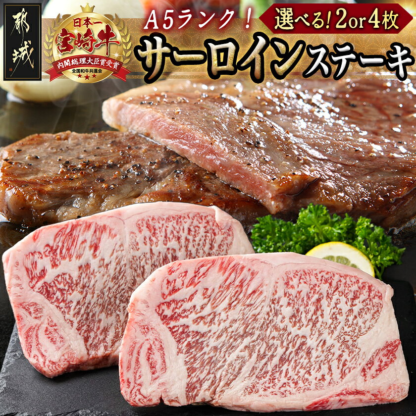 【ふるさと納税】【枚数が選べる！】宮崎牛(A5)サーロインステーキ - 霜降りステーキ用牛肉 最高等級5等級 国産黒毛和牛 選べる枚数 2枚/4枚 ギフト 贈答用 送料無料 SKU-0117【宮崎県都城市は2年連続ふるさと納税日本一！】