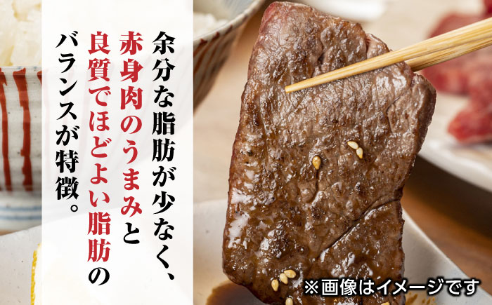 肥後の赤牛 焼肉 500g やきにく 焼き肉 贅沢 熊本 赤牛 褐牛 あかうし 褐毛和種 肥後 冷凍 国産 牛肉【やまのや】[YDF005]