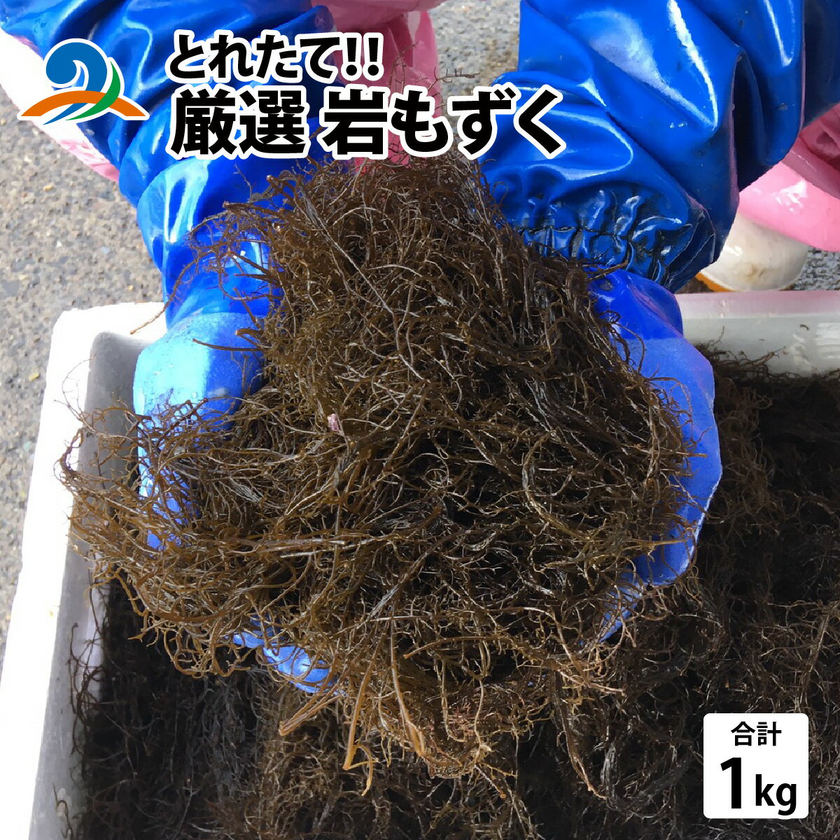 【ふるさと納税】【先行予約】【とれたて！！】厳選岩もずく1kg【2026年5月下旬ごろ順次発送】／ 新鮮 お造り 刺身 晩酌 食卓 BBQ 冷蔵 送料無料