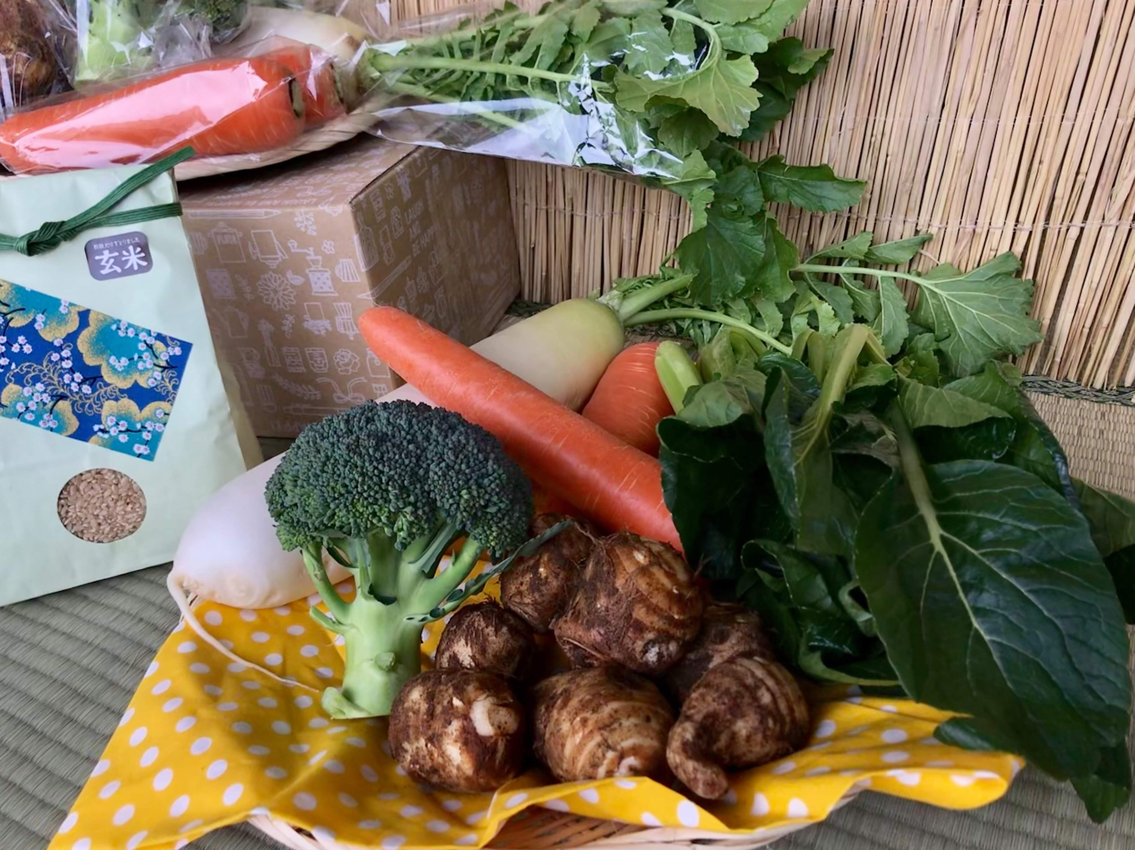 
            【栽培期間農薬不使用】玄米2kgと季節の野菜(4～5品)のセット(茨城県共通返礼品／潮来市)｜米 お米 こめ 玄米 野菜 野菜セット 栽培期間農薬不使用 茨城県共通返礼品 共通返礼品 茨城県 潮来市 行方市(BI-57)
          