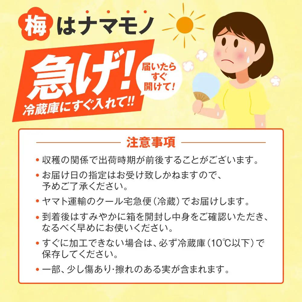 手もぎ 青梅 南高梅 5kg L～2Lサイズ 谷本農園