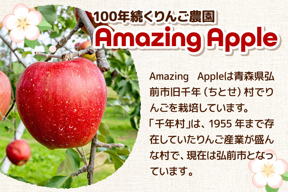 【26年12月発送】りんご 名月【贈答用】約3kg 先行受付 [先行予約 りんご 名月 3kg アップル おいしい お歳暮 お中元 ギフト プレゼント 果実 果物 贈り物 贈答用 美味 林檎 青森県 