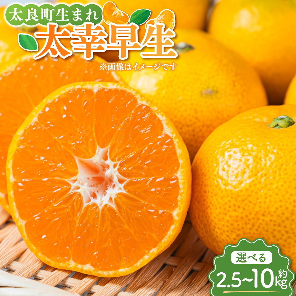【ふるさと納税】太良町生まれ 太幸早生 選べる内容量 ( 約2.5kg / 約5kg / 約10kg ) 温州みかん みかん ミカン 蜜柑 柑橘 かんきつ 大小ミックス フルーツ くだもの 果物 果実 デザート 佐賀県産 国産 佐賀県 太良町 送料無料 【2026年11月下旬～2027年1月上旬発送予定】
