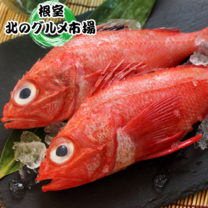 【ふるさと納税】【12月21日決済確定分まで年内配送】 [北海道根室産] キチジ ( メンメ・キンキ ) 7 尾 ~ 11 尾 ( 下処理済 ) きちじ めんめ きんき さかな サカナ 魚 お取り寄せ グルメ 海鮮 北海道 根室市 ふるさと納税 E-76001