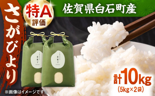 【令和7年産】さがびより 計10kg（5kg×2袋）【ちわたのふぁーむ】 米 10kg  精米 特A 特A評価  佐賀県産 国産米 コメ こめ お米 白米 ブランド米 精白米 おにぎり さがびより 九州 佐賀県 白石町 人気 おすすめ 白石  令和8年発送[IDE002]