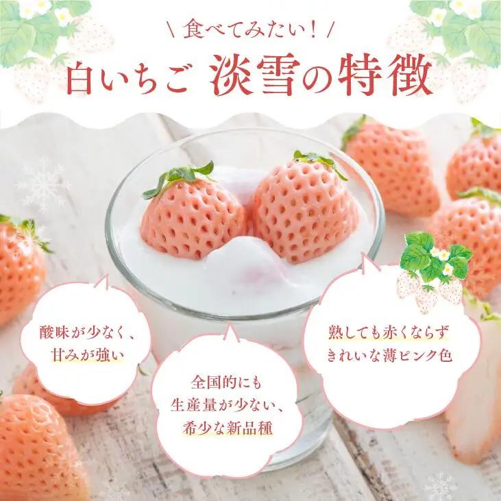 【先行予約】白いちご「淡雪」・2パック入×1箱 | 豊後高田市 白いちご