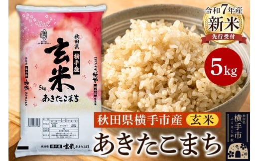 【令和7年産新米受付】【玄米】令和7年産 横手市産 あきたこまち 5kg