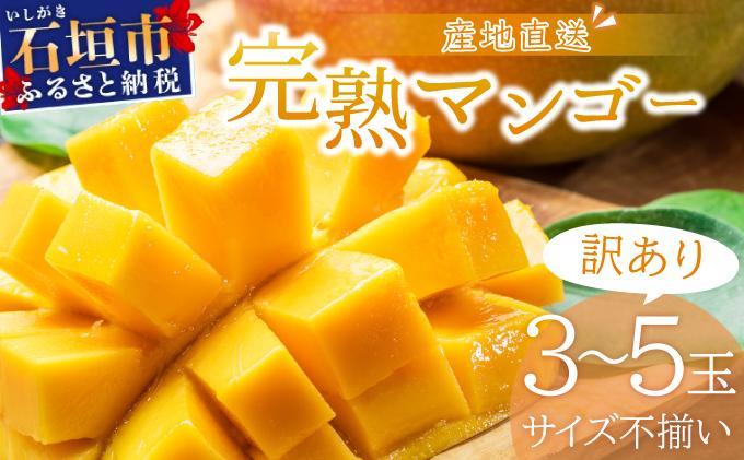 ＜先行予約＞【訳あり】マンゴー サイズ不揃い 3～5玉 (約1.5kg) ＜2026年7月上旬から発送＞ 訳あり品 マンゴー KP-27
