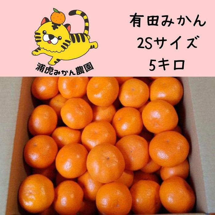【ふるさと納税】12/25までにご入金確認分は年内発送確定！きれいな温州みかん 箱込み 5kg（SSサイズ指定）小さなミカンが好きな人におすすめ