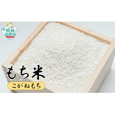 ふるさと納税 陸前高田市 陸前高田市産 もち米 3kg 品種:こがねもち マルキヨファーム 餅 おはぎ お雑煮